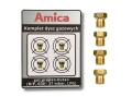 Amica 4 pb.png